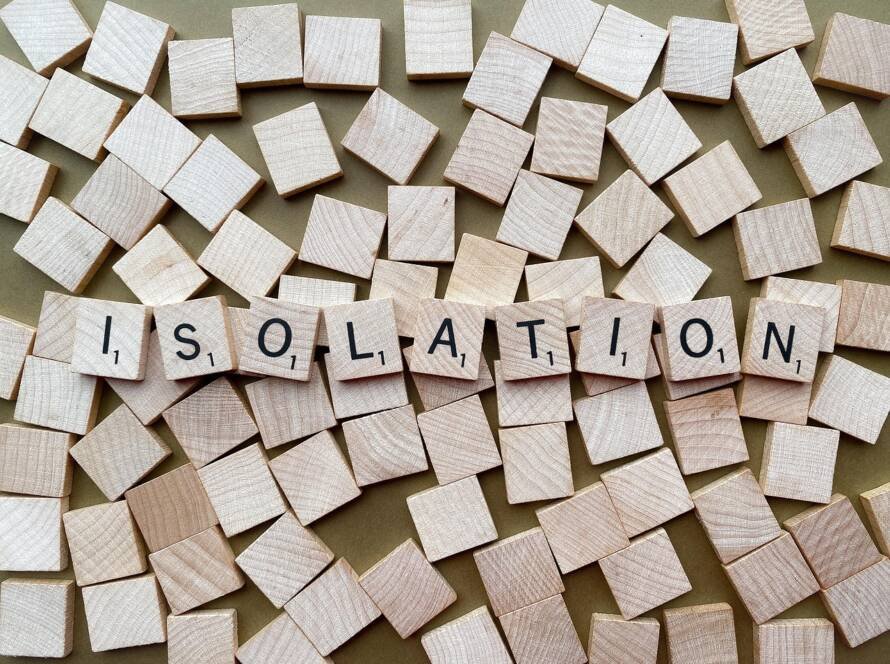 pandemic, isolation, quarantine, coronavirus, covid-19, virus, infection, brown virus